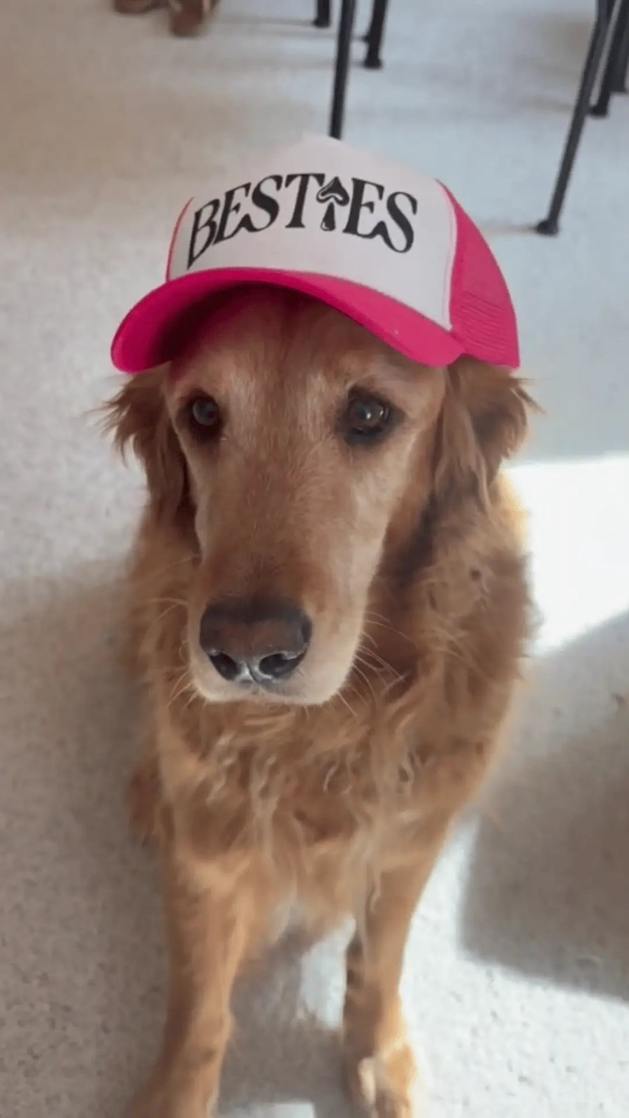 Trucker Hat